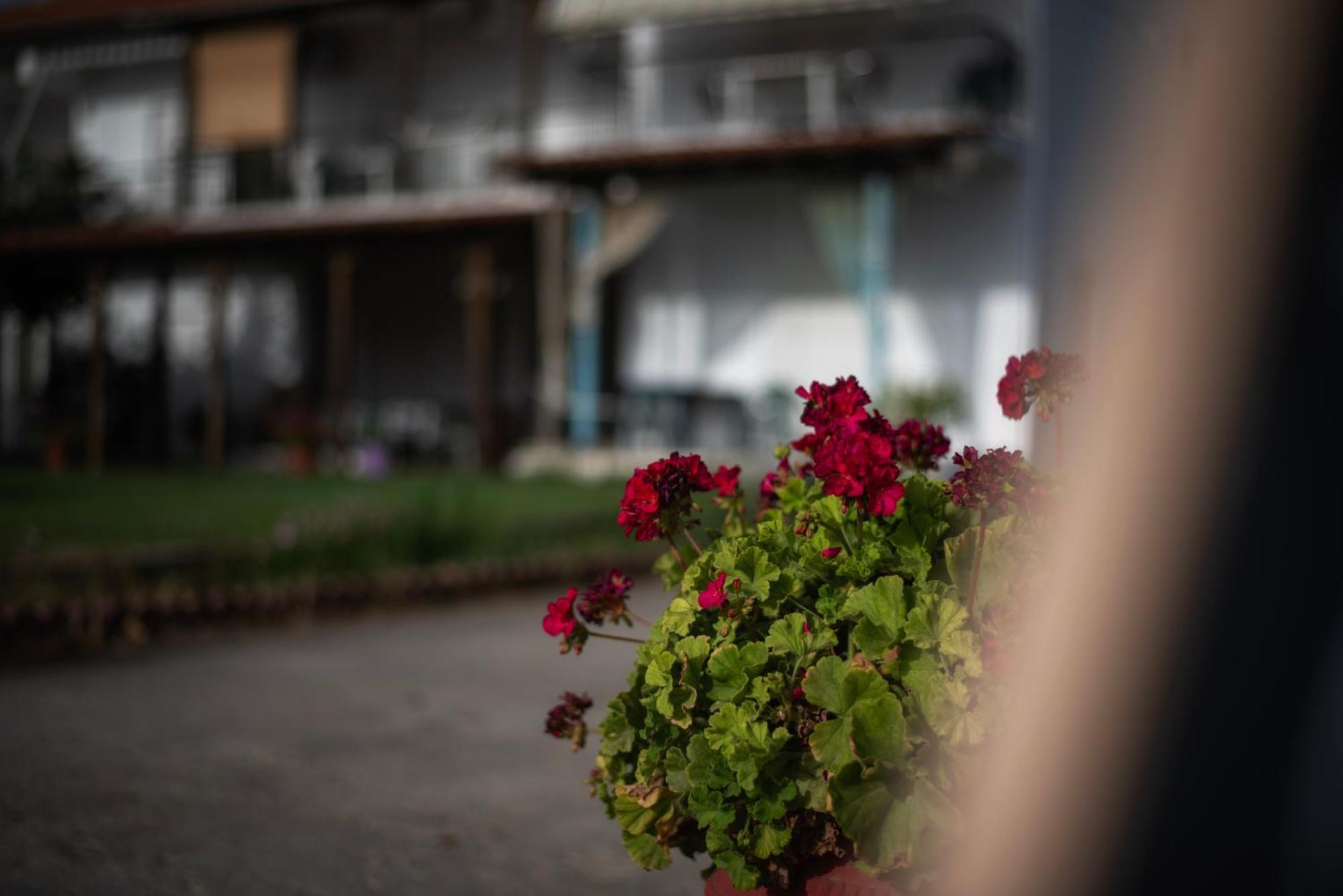 Marilena Apartments Anastasiou Велика Екстериор снимка